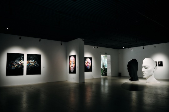 覃云当代视觉艺术展《相•200万》之肌肤上的宇宙