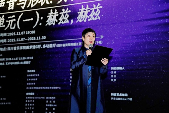 四川音乐学院副教授、艺术学博士、本次展览策展人钟舒
