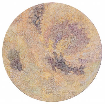 《辉光涌流》曾晖个展｜坚韧的破碎之花