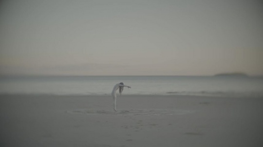 当代艺术项目“艺术行为在大地”，展现地方与全球的对话