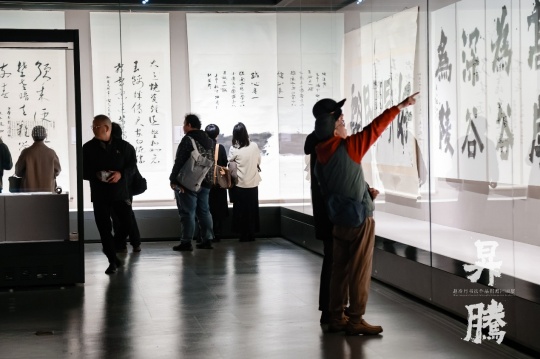 笔墨归乡 精神升腾：赵冷月书法作品捐赠回顾展在嘉兴博物馆启幕