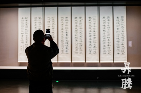 笔墨归乡 精神升腾：赵冷月书法作品捐赠回顾展在嘉兴博物馆启幕