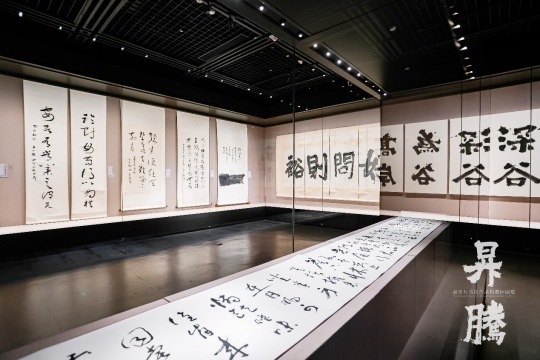 笔墨归乡 精神升腾：赵冷月书法作品捐赠回顾展在嘉兴博物馆启幕