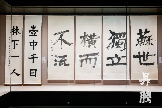 笔墨归乡 精神升腾：赵冷月书法作品捐赠回顾展在嘉兴博物馆启幕