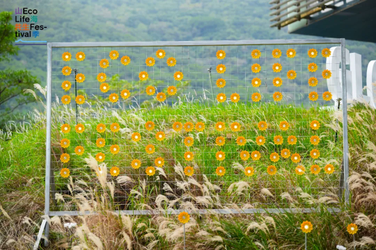 山海共生的深圳回答：首届梅沙艺术季，一场以生态为名的社会实验