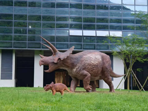 山海共生的深圳回答：首届梅沙艺术季，一场以生态为名的社会实验