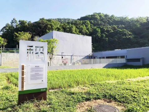 山海共生的深圳回答：首届梅沙艺术季，一场以生态为名的社会实验