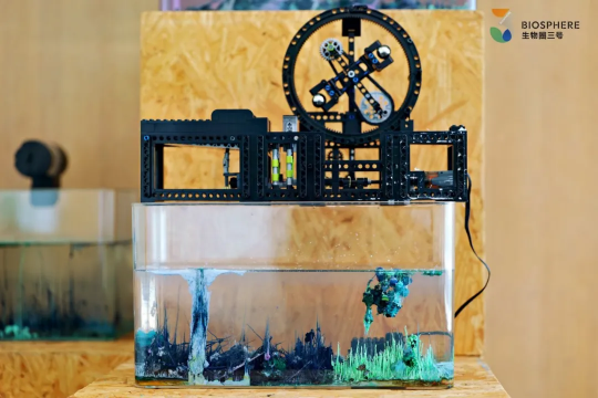 山海共生的深圳回答：首届梅沙艺术季，一场以生态为名的社会实验