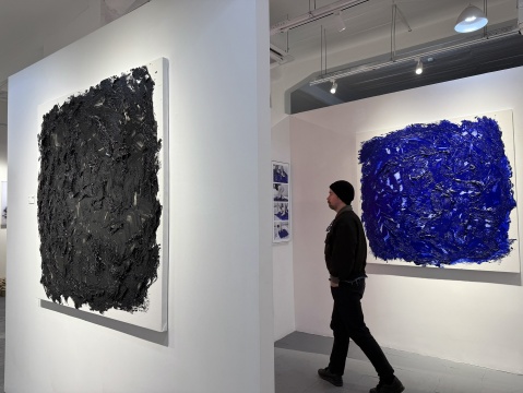 “爬行动物”展览现场
