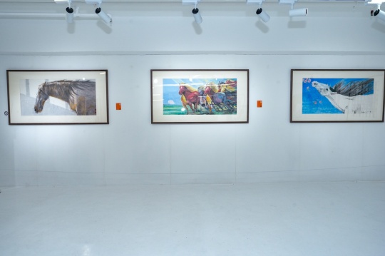 以“鲜花”“奔马”祈福新春，中国国际水墨学会迎春展成功举办