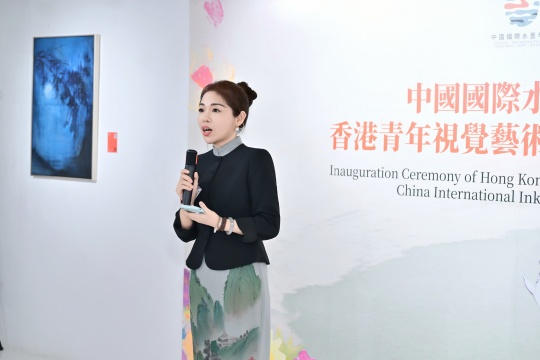 参展艺术家，香港浸会大学博士、南京晓庄学院教师王辉发言
