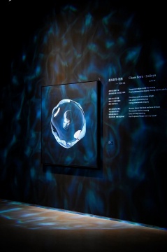 “如花山海·贾伟艺术个展”启幕，“2026中国治愈系艺术大会·武汉站”共议当代艺术的治愈力量