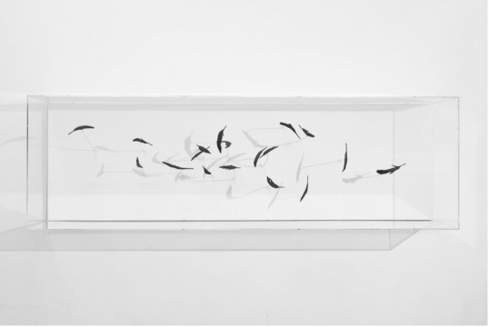 Maya Kramer&nbsp;玛雅·克莱默 《Providence&nbsp;&nbsp;Entropy&nbsp;天意&nbsp;&nbsp;熵》

153.8 x 46.8cm 煤、粘结剂、铁丝、磁铁、木头、有机玻璃 2014

&nbsp;
