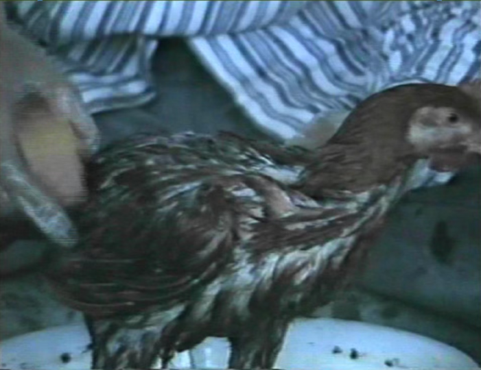 张培力《(卫)字3号》静帧&nbsp;24分45秒 单视频录像 1991
