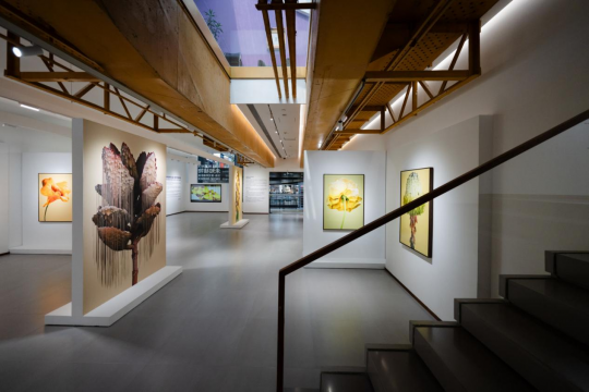 《未知植物》展览空间，1905艺术空间

&nbsp;
