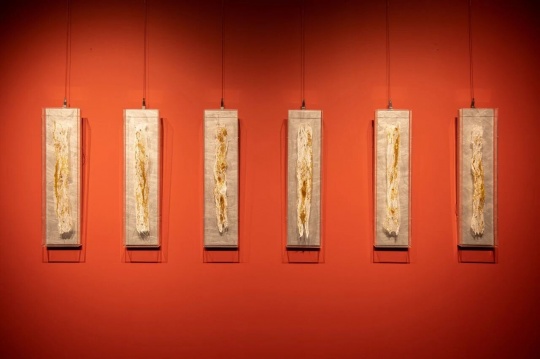 《修复-实验》桑蚕丝 23x60cmx6组 2025
