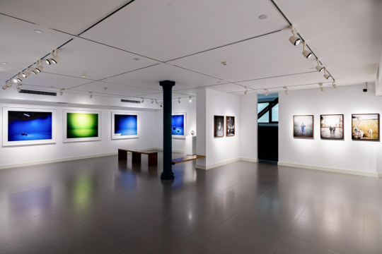 溯源摄影原点，尼埃普斯奖七位得主群展“暗箱”沈阳开展