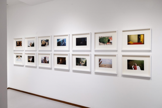 溯源摄影原点，尼埃普斯奖七位得主群展“暗箱”沈阳开展