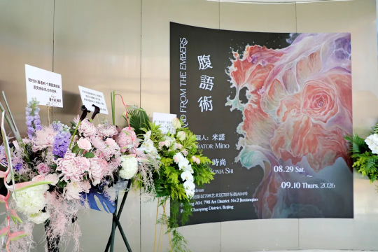 00后艺术家时尚国内首次个展《腹语术》在798艺术区开幕