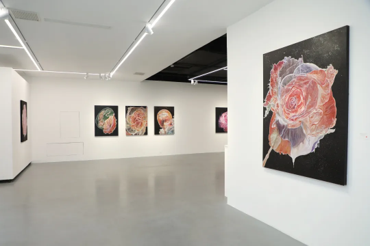 00后艺术家时尚国内首次个展《腹语术》在798艺术区开幕