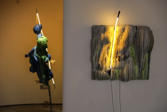桂湖美术馆 开幕现场 | 陈春木个展