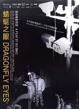 徐冰《蜻蜓之眼》

影像，从公共直播网站上下载的监控录像视频资料，2017年
